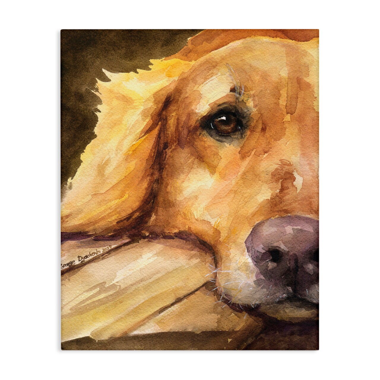 Stupell Industries Sight of Golden Retriever Canvas, design by George Dyachenko